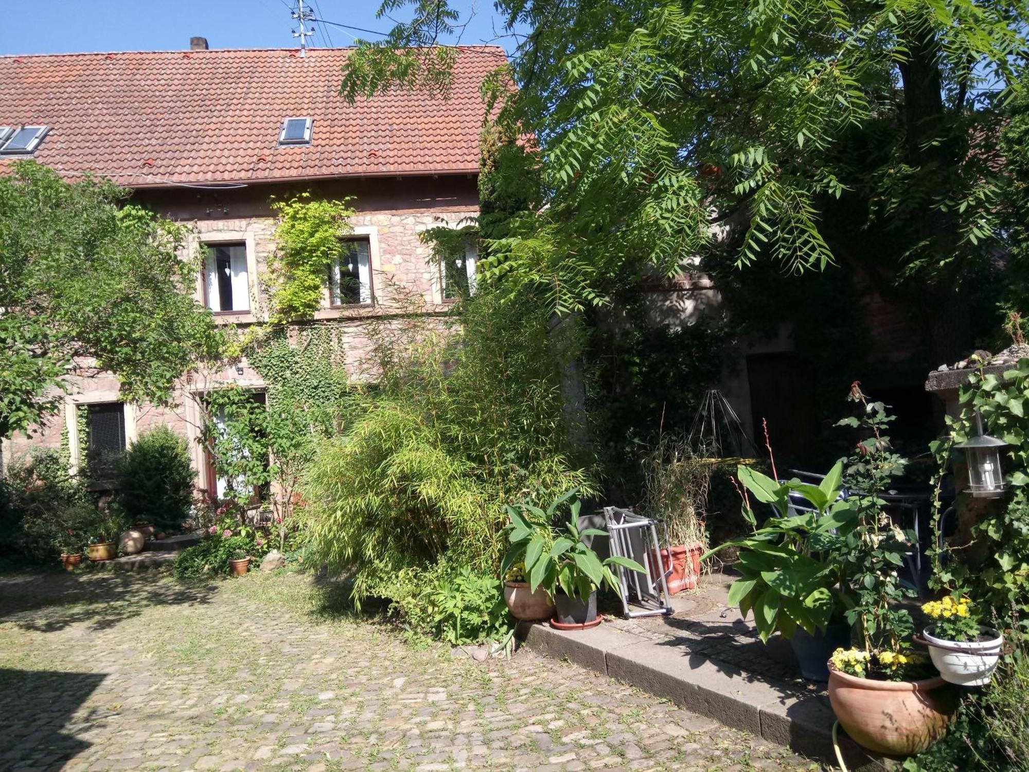 Апартаменти "El Patio" Am Donnersberg Dannenfels Екстер'єр фото
