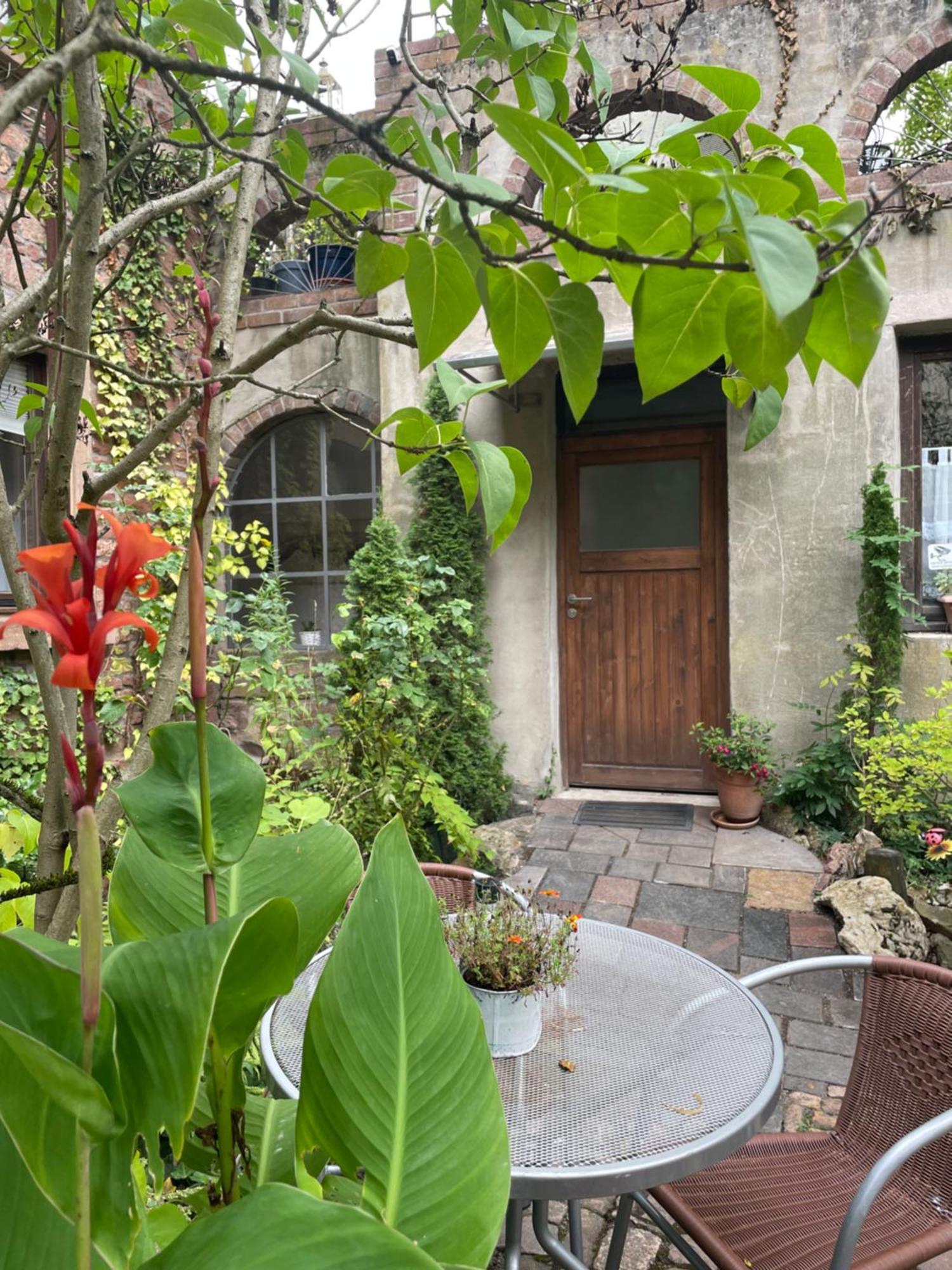 Апартаменти "El Patio" Am Donnersberg Dannenfels Екстер'єр фото